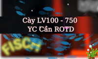Cày LV100 - 750 YC Cần ROTD