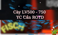 Cày LV500 - 750 YC Cần ROTD