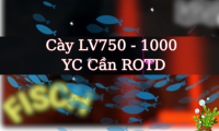 Cày LV750 - 1000 YC Cần ROTD