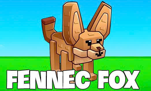 FENNEC FOX