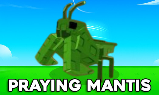 Praying Mantis