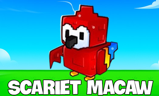 Scariet Macaw