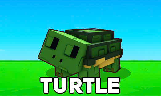 Turtle